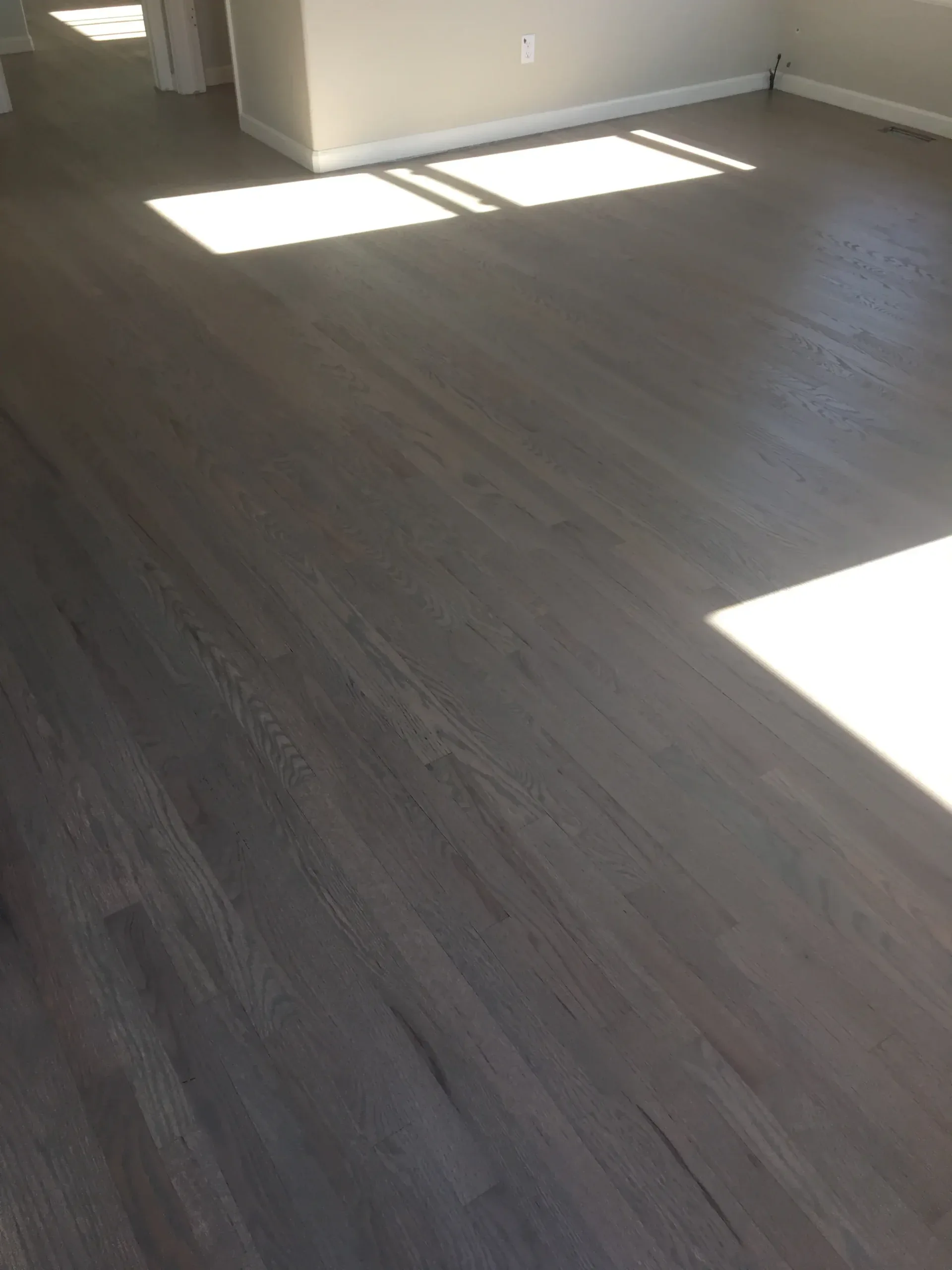 Dark contemporary wood floor with afternoon light across it