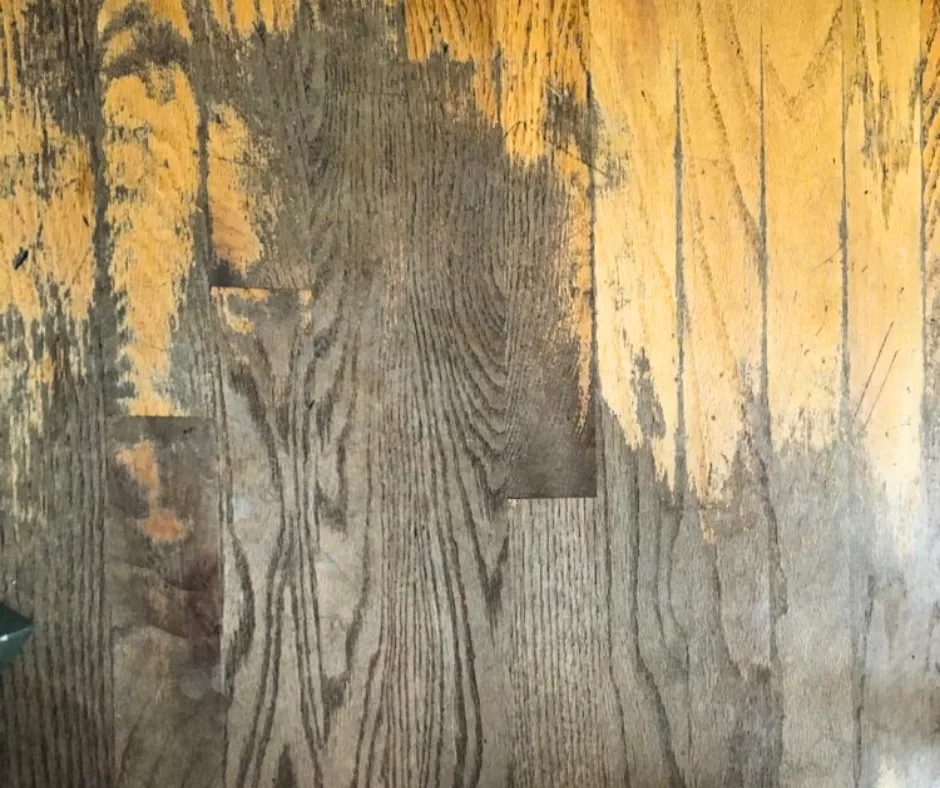 Worn hardwood floor with the finish gone, before refinishing