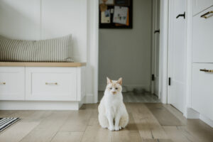 The Best Wood Flooring For dog and cat-Friendly Homes