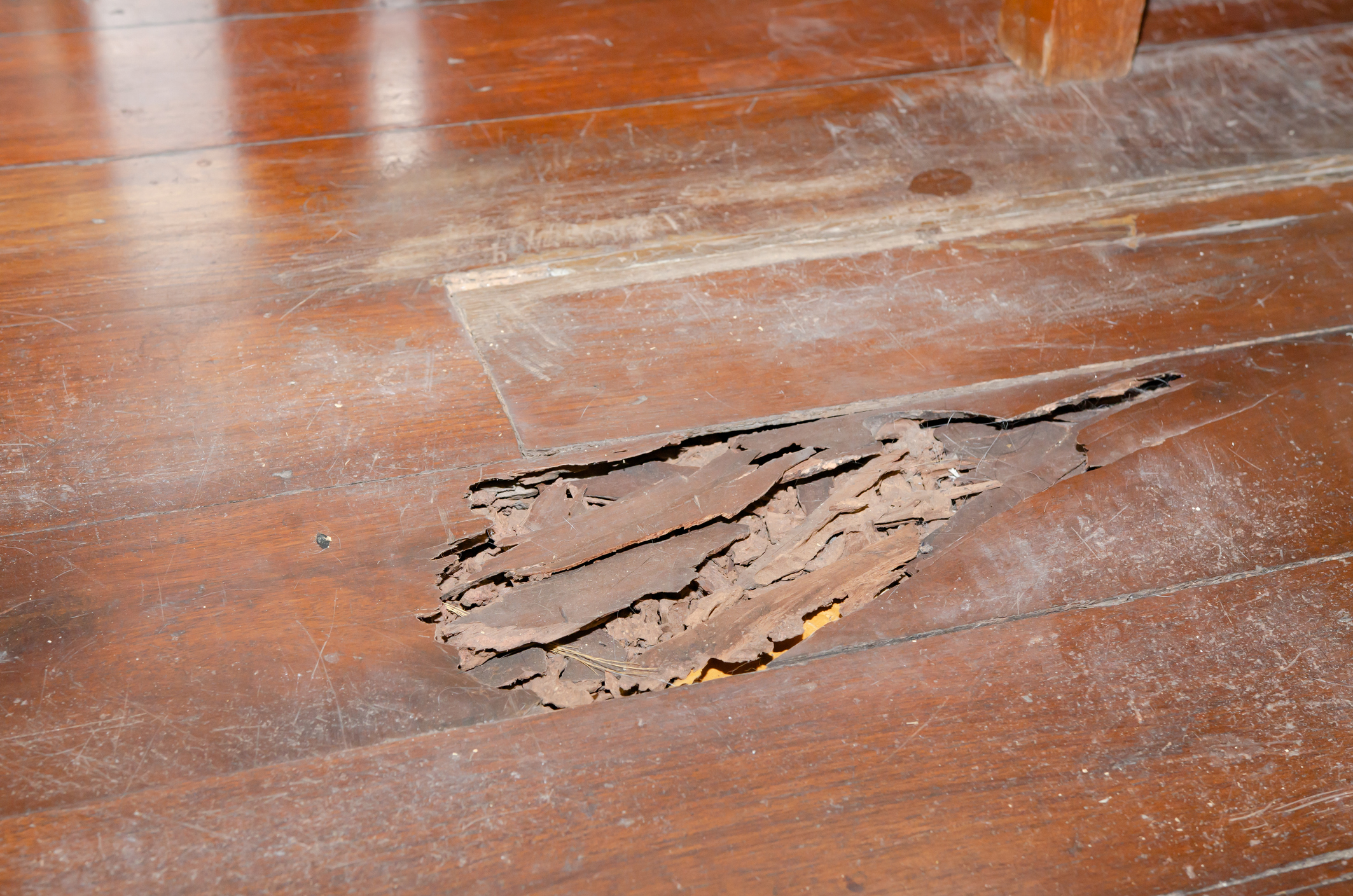 Water-damaged hardwood floors before resurfacing