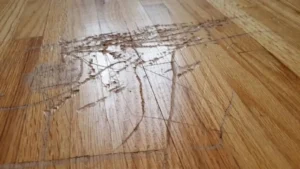 Gouges in a engineered wood floor in Denver, Co